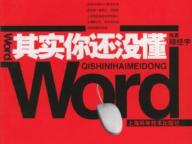  [推荐]《其实你还没懂Word》