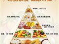  膳食“金字塔”（均衡饮食）